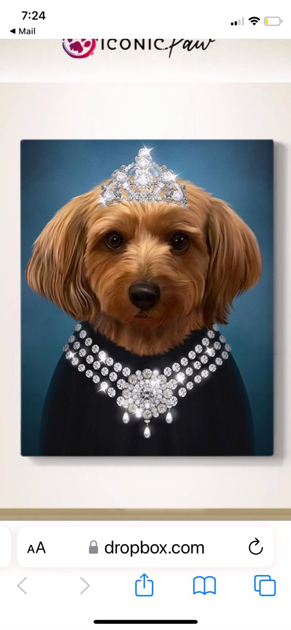 /Images/uploads/Louies Legacy Animal Rescue/cutest-rescue-pet-2023/entries/28121thumb.jpg